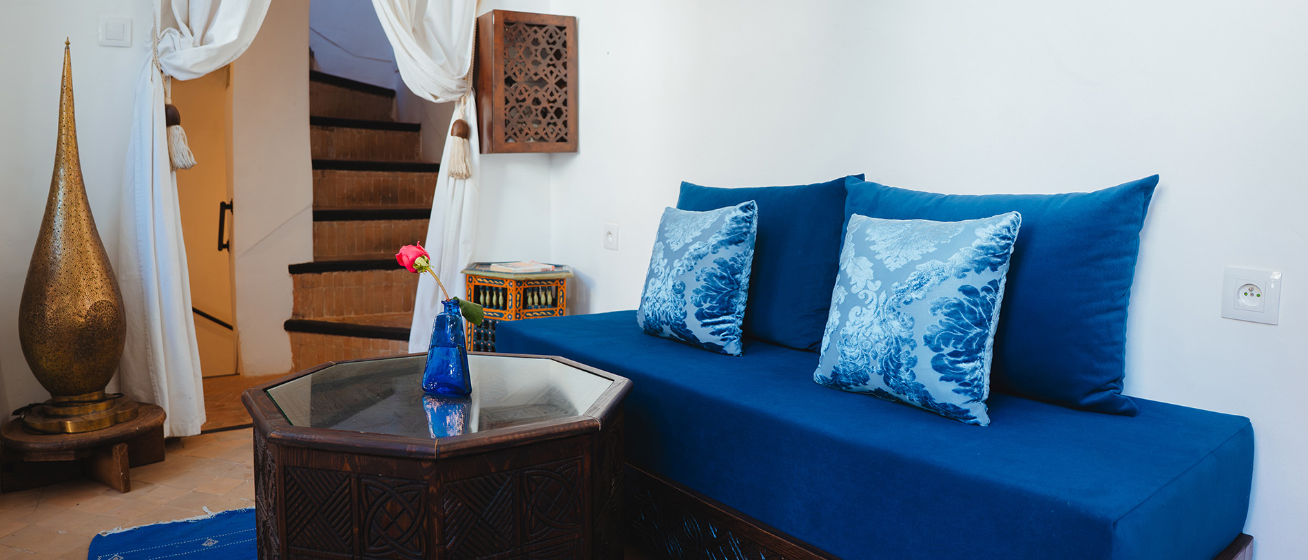 chameleon export 42 recovered