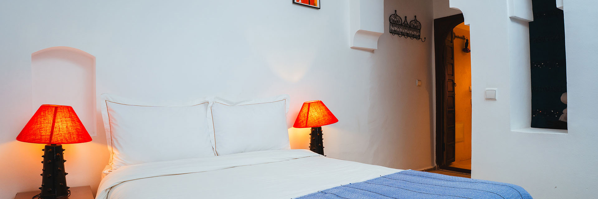 chameleon export 74 recovered