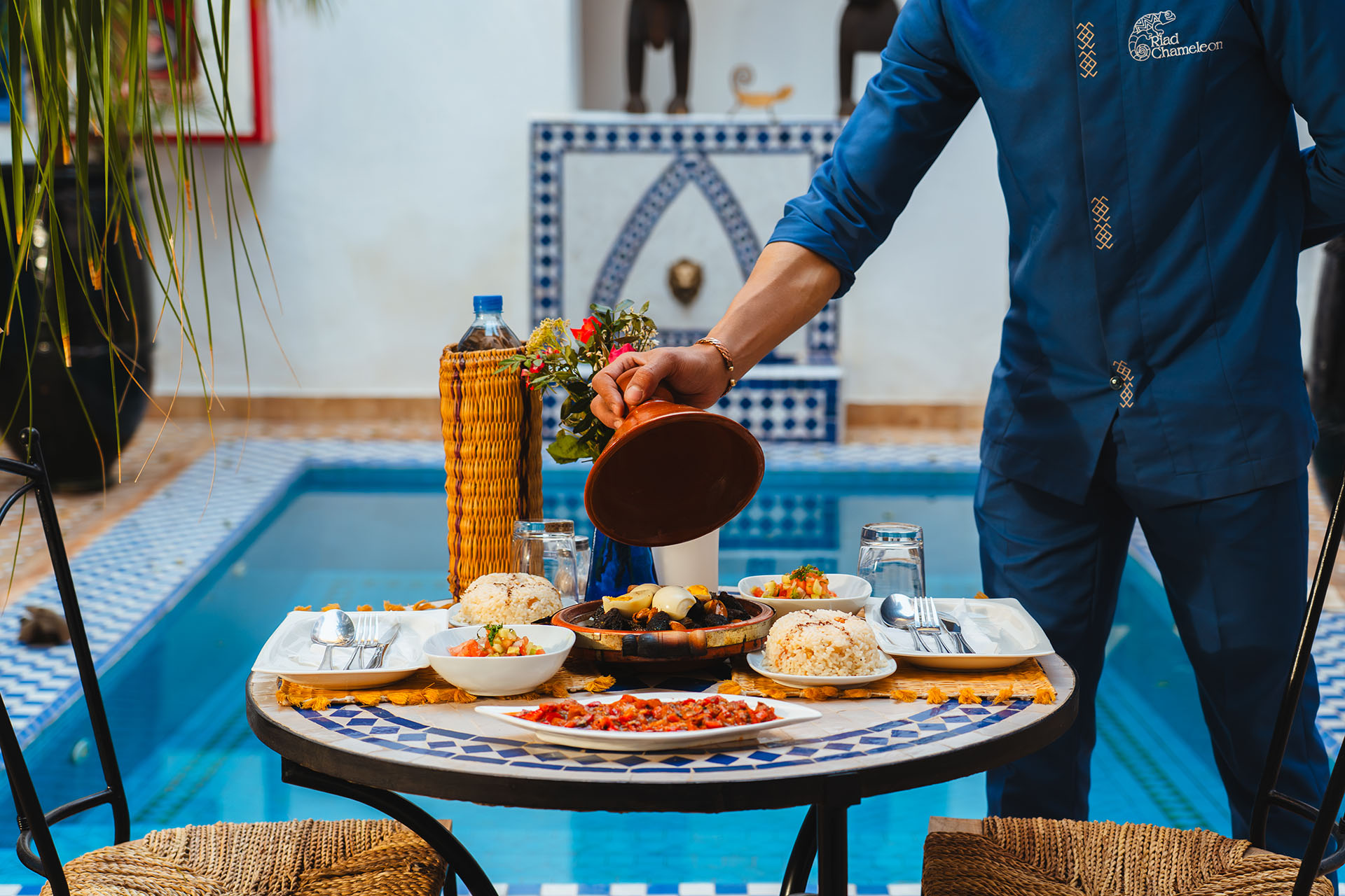 chameleon export 02 30