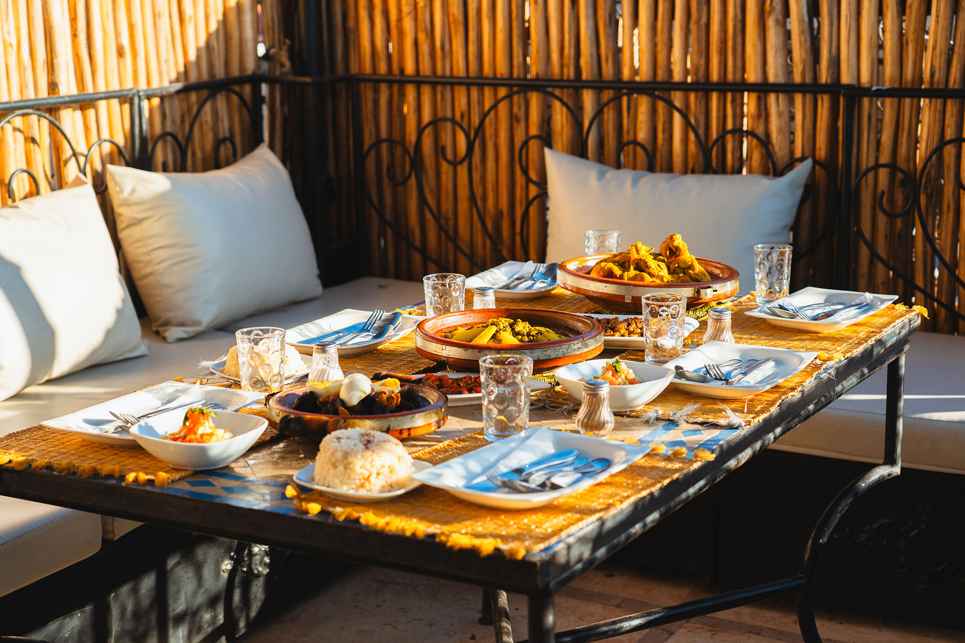 chameleon export 02 34