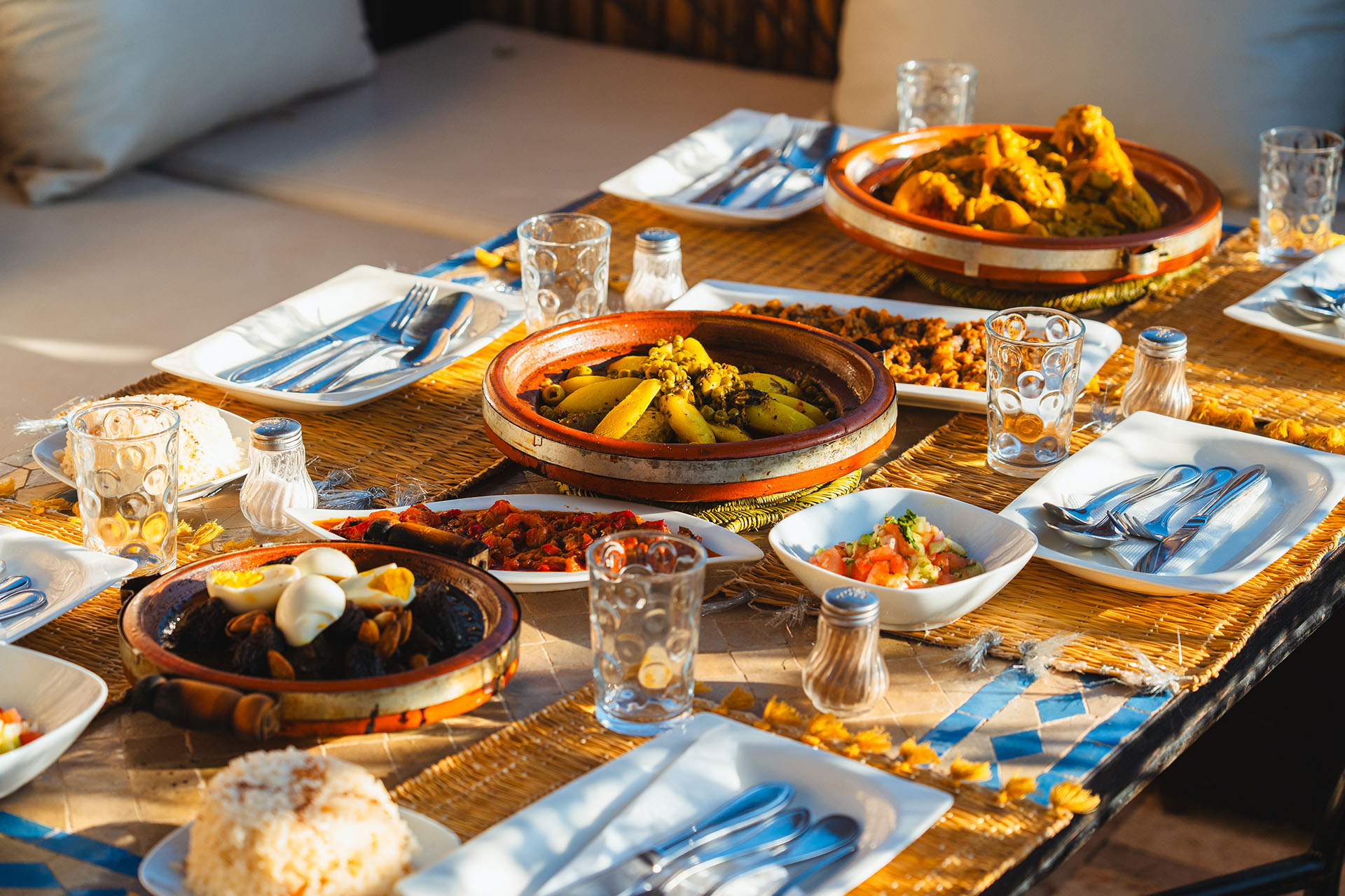 chameleon export 02 36